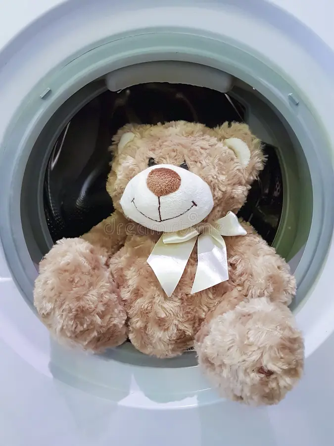 Servicio de Lavado de Peluches